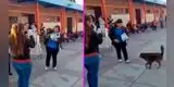 Perrito recibe diploma por dedicar su vida a proteger a los niños de un colegio: “¡Un alumno más!” [VIDEO]