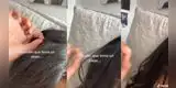 Descubrió que tenía un piojo, se lo guarda y usuarios etiquetan a sus amigos en TikTok: “Tú” [VIDEO]