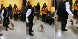 Peruano baila con su perrita al ritmo de huayno y ambos se roban el ‘show’ con singulares pasos [VIDEO]