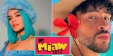 MTV Miaw 2022: conoce quiénes son los favoritos según las categorías [VIDEO]