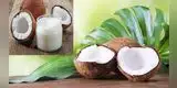 Salud: Conoce los mitos y verdades del aceite de coco para bajar de peso