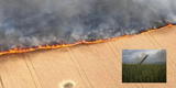 “El granero del planeta está en guerra”: Ucrania denuncia que Rusia viene quemando los campos de trigo y genera alarma [FOTO]