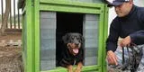 Surco: con plástico reutilizado crean casas para mascotas rescatadas por Brigada Canina