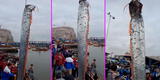 Capturan pez remo gigante que 'anuncia terremotos' y espeluznante video es viral en TikTok