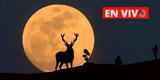 Superluna de ciervo 2022, EN VIVO: Asi se ve la luna llena más grande del año