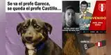 “El profe que queríamos”: Ricardo Gareca no seguirá como DT y emotivos memes se viralizan [FOTOS]