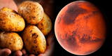 NASA: ¿Por qué la papa peruana sería un alimento para los futuros habitantes en Marte?