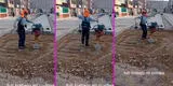 Obrero peruano 'zapatea' con su máquina aplanadora y arrasa con TikTok: “Full trabajo” [VIDEO]