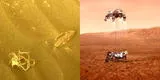 NASA: Perseverance detectó un “remolino de espaguetis” en Marte