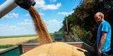 Rusia y Ucrania firman acuerdo para la exportación de granos: “Solucionará la crisis alimentaria mundial”