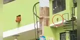 Peruano hace un hueco en el frontis de su casa para que su perrito este atento las 24 horas y escena enternece a miles [FOTO]