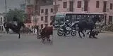 Policía a caballo sufre aparatoso accidente en Cercado de Lima