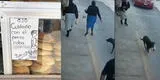Señora no hace caso la advertencia y perro le termina robando su bolsa de pan en plena calle [VIDEO]