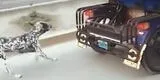SMP: hombre maltrata a su perro atándolo a mototaxi y arrastrándolo por las calles [VIDEO]