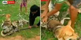 Niños se enfrentan a gigantesca serpiente para salvar a su perrito [VIDEO]