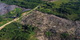 Ejecutivo rechaza  ley que promueve la deforestación de la Amazonia