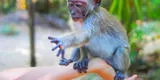 ¿De dónde proviene la viruela del mono y por qué se llama así?
