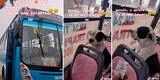 Perro sube a bus, pero cobrador lo encuentra y le pide su pasaje: “No se haga el dormido” [VIDEO]