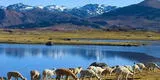 Regiones naturales del Perú: La Sierra