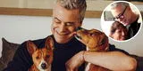 Nana de Diego Bertie sobre presunto abandono de perros del actor: "No vengo todos los días por ellos"