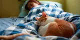 ¿Qué significa soñar con gatos en la cama? Esto dicen los expertos