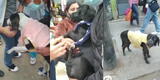 Lambayeque: escolares confeccionan chompas para abrigar a perros y gatos callejeros [VIDEO]