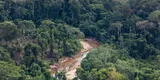 Amazonia recibe más de S/ 20 millones para conservación de bosques
