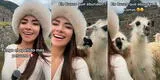 "Tengo el apellido más peruano": joven graba singular video en Machu Picchu y se vuelve viral en TikTok