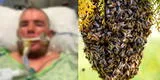Joven cortó por error un panal de abejas asesinas y casi pierde la vida