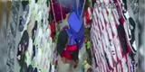 Independencia: ladón aprovecha descuido de madre y roba celular a menor de 2 años [VIDEO]