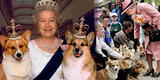 Descubre cuántos perros ha tenido la Reina Isabel II en toda su vida