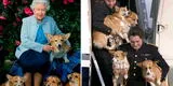Reina Isabel II: ¿Qué pasará con los perros corgis de la monarca británica? [VIDEO]