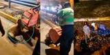 Costa Verde: Lobo de mar herido queda varado en la vía pública y policía lo ayuda a volver al agua [VIDEO]