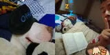 Dueño lee un cuento para que duerma su perro [VIDEO]