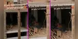 Obreros son captados en íntima escena durante hora del trabajo y video es viral en TikTok