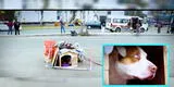Callao: perrito "Lalo" lleva varias semanas esperando afuera de hospital a su dueño, quien ya falleció [VIDEO]