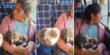 Captan a señora con perrito en brazos y a su hijo sentado al costado en una combi en Huancayo: "Tiene su favorito"