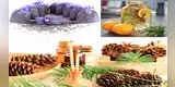 Los mejores trucos para aromatizar tu hogar de manera natural