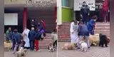 Vecinos llevan a sus perritos para que el padre los bautice y escena conmueve en TikTok: "Dios también los ama" [VIDEO]