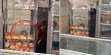Va comprar a la panadería y encuentra gigantesca rata entre los panes: “Control de calidad” [VIDEO]