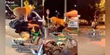 Firulais se acomoda para ir de paseo con su dueño en bicicleta: "Un perro así vale la pena" [VIDEO]