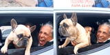 Valentino: El perro que ablanda el corazón de Antauro Humala [VIDEO]