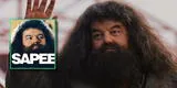 Harry Potter: ¿Por qué 'Hagrid', personaje de Robbie Coltrane, era conocido como "el peluca sape"? [VIDEO]