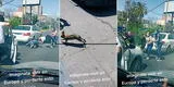 Captan a familia tratando de atrapar a su conejo que saltó a la pista y escena enternece: "Todos se unieron" [VIDEO]