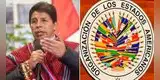 Cibernautas piden a comisión de la OEA investigar las denuncias contra Pedro Castillo y su entorno [FOTO]
