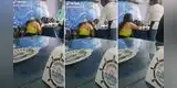 Pareja peruana acude a cebichería, pero son captados en impensada escena y los exponen: “¿Qué es eso?" [VIDEO]
