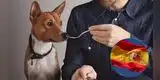 ¿Cuánto gana un degustador de comida para perros en España?