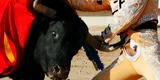 ¡No resistieron! Cinco toros, destinados a la corrida de Acho, murieron tras no soportar el viaje de España a Lima