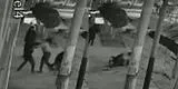 Áncash: mujer se agarra a golpes con ladrones para evitar que le roben en Chimbote [VIDEO]