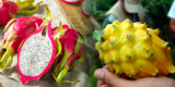 ¿Qué beneficios tiene comer pitahaya en ayunas?